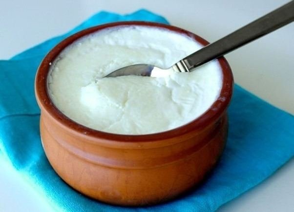 CURD-DAHI-YOGURT