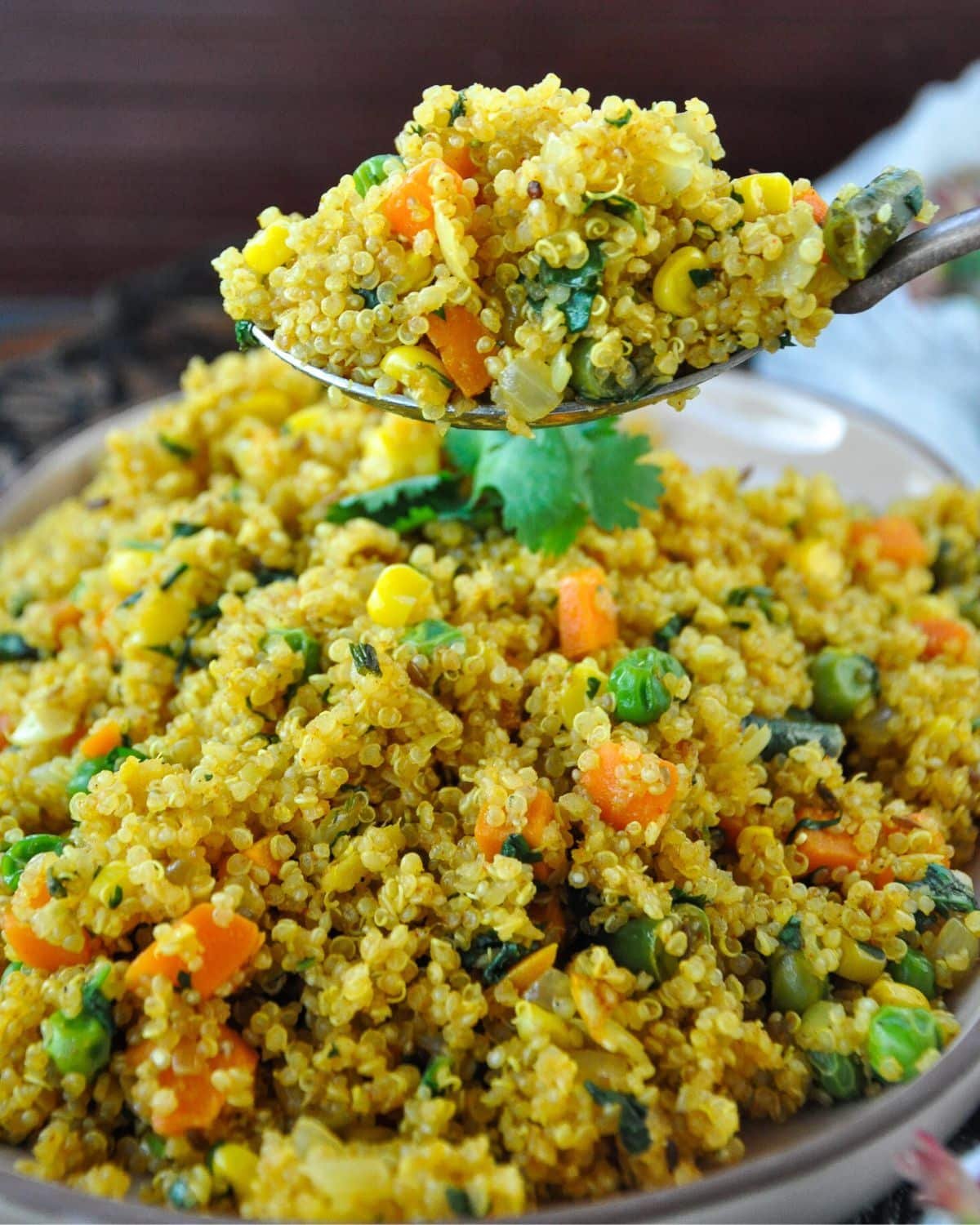 Vegetable Quinoa Pulao — QuadFit Healthy Recipe
